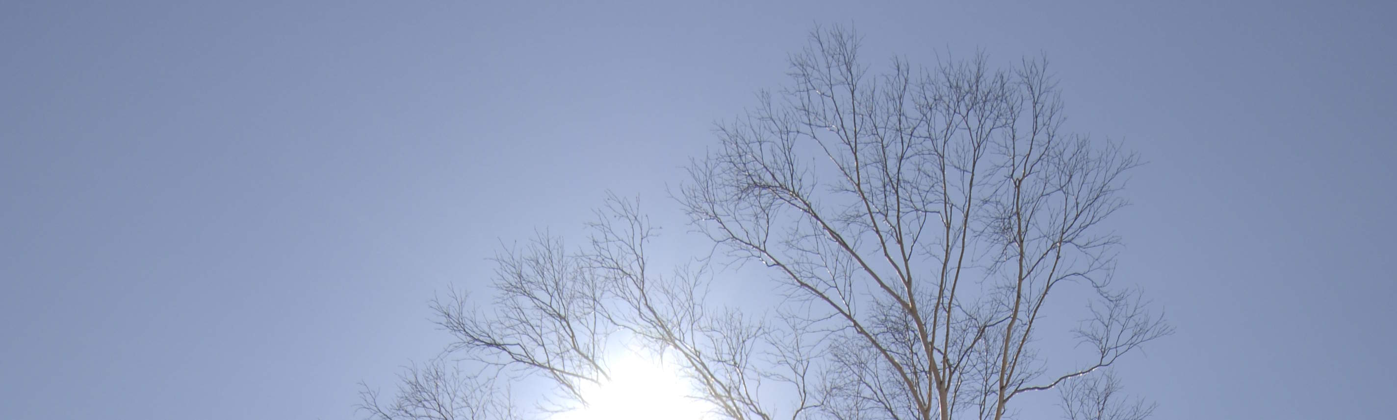 Gói Tomamu SKI khởi hành từ Sapporo